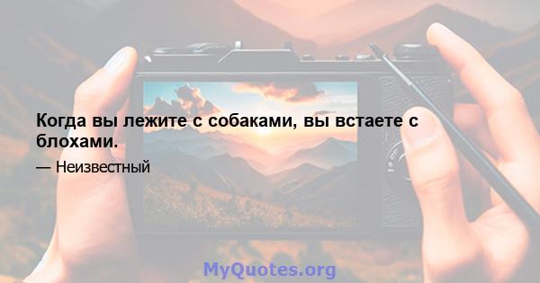 Когда вы лежите с собаками, вы встаете с блохами.