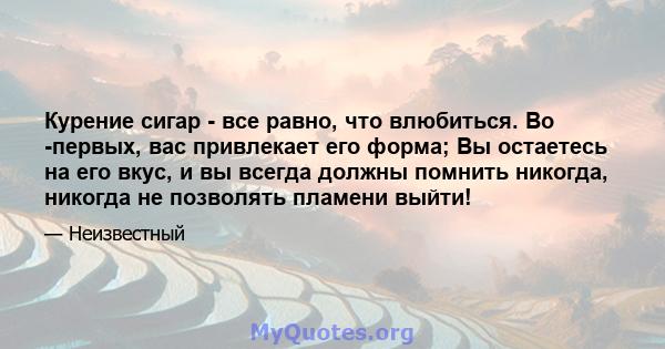 Курение сигар - все равно, что влюбиться. Во -первых, вас привлекает его форма; Вы остаетесь на его вкус, и вы всегда должны помнить никогда, никогда не позволять пламени выйти!