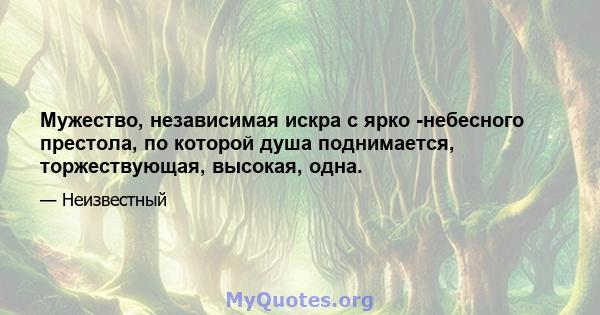 Мужество, независимая искра с ярко -небесного престола, по которой душа поднимается, торжествующая, высокая, одна.