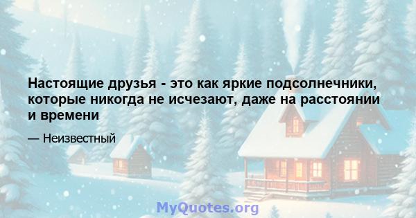 Настоящие друзья - это как яркие подсолнечники, которые никогда не исчезают, даже на расстоянии и времени