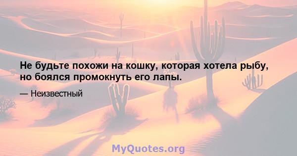 Не будьте похожи на кошку, которая хотела рыбу, но боялся промокнуть его лапы.