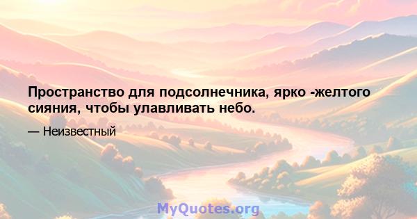 Пространство для подсолнечника, ярко -желтого сияния, чтобы улавливать небо.