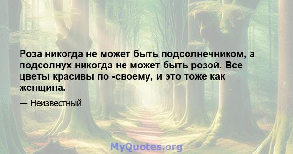 Роза никогда не может быть подсолнечником, а подсолнух никогда не может быть розой. Все цветы красивы по -своему, и это тоже как женщина.