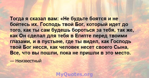 Тогда я сказал вам: «Не будьте боятся и не бойтесь их. Господь твой Бог, который идет до того, как ты сам будешь бороться за тебя, так же, как Он сделал для тебя в Египте перед твоими глазами, и в пустыне, где ты видел, 