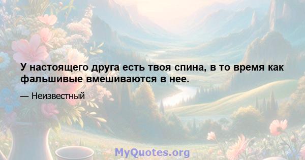 У настоящего друга есть твоя спина, в то время как фальшивые вмешиваются в нее.