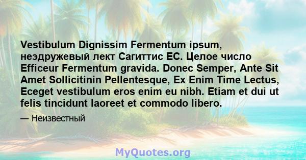 Vestibulum Dignissim Fermentum ipsum, неэдружевый лект Сагиттис ЕС. Целое число Efficeur Fermentum gravida. Donec Semper, Ante Sit Amet Sollicitinin Pellentesque, Ex Enim Time Lectus, Eceget vestibulum eros enim eu