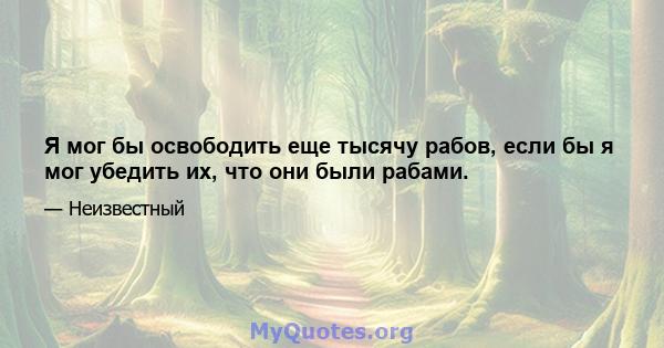 Я мог бы освободить еще тысячу рабов, если бы я мог убедить их, что они были рабами.