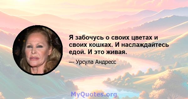 Я забочусь о своих цветах и ​​своих кошках. И наслаждайтесь едой. И это живая.