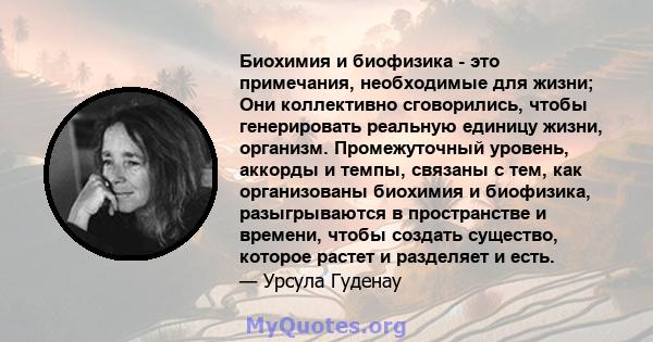 Биохимия и биофизика - это примечания, необходимые для жизни; Они коллективно сговорились, чтобы генерировать реальную единицу жизни, организм. Промежуточный уровень, аккорды и темпы, связаны с тем, как организованы