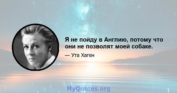 Я не пойду в Англию, потому что они не позволят моей собаке.