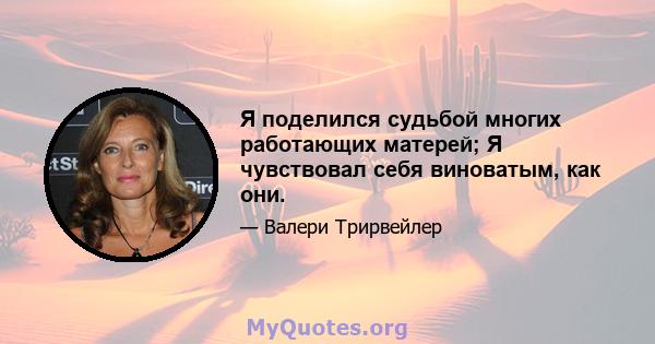 Я поделился судьбой многих работающих матерей; Я чувствовал себя виноватым, как они.