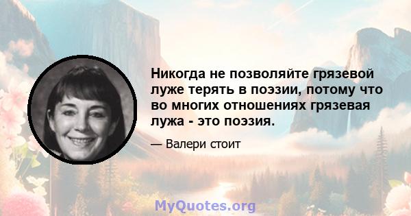 Никогда не позволяйте грязевой луже терять в поэзии, потому что во многих отношениях грязевая лужа - это поэзия.