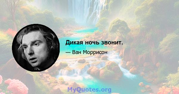 Дикая ночь звонит.