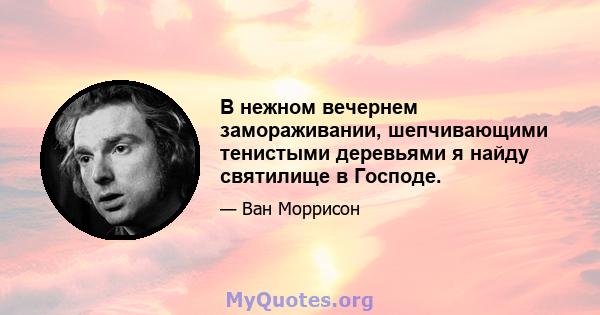 В нежном вечернем замораживании, шепчивающими тенистыми деревьями я найду святилище в Господе.