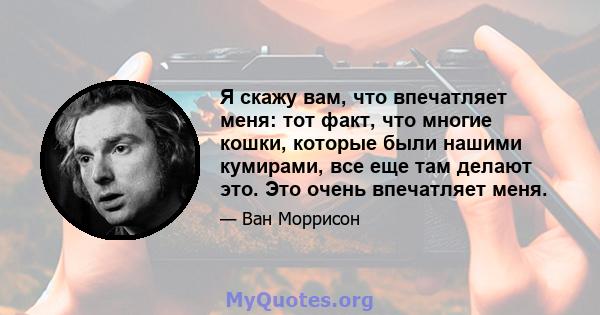 Я скажу вам, что впечатляет меня: тот факт, что многие кошки, которые были нашими кумирами, все еще там делают это. Это очень впечатляет меня.