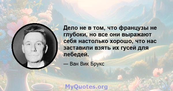 Дело не в том, что французы не глубоки, но все они выражают себя настолько хорошо, что нас заставили взять их гусей для лебедей.