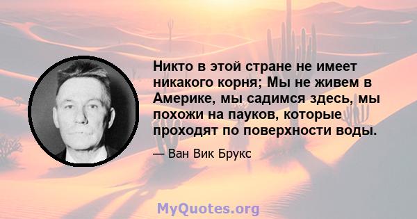 Никто в этой стране не имеет никакого корня; Мы не живем в Америке, мы садимся здесь, мы похожи на пауков, которые проходят по поверхности воды.