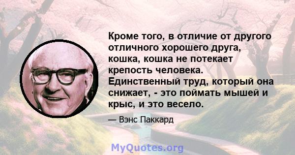 Кроме того, в отличие от другого отличного хорошего друга, кошка, кошка не потекает крепость человека. Единственный труд, который она снижает, - это поймать мышей и крыс, и это весело.