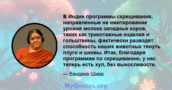 В Индии программы скрещивания, направленные на имитирование урожая молока западных коров, таких как трикотажные изделия и гольштейны, фактически разводят способность наших животных тянуть плуги и шкивы. Итак, благодаря