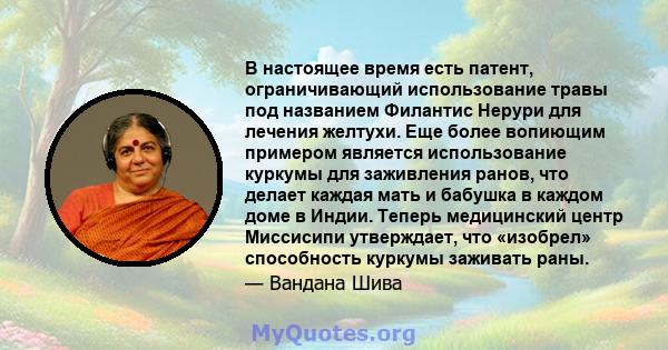 В настоящее время есть патент, ограничивающий использование травы под названием Филантис Нерури для лечения желтухи. Еще более вопиющим примером является использование куркумы для заживления ранов, что делает каждая