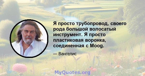 Я просто трубопровод, своего рода большой волосатый инструмент. Я просто пластиковая воронка, соединенная с Moog.