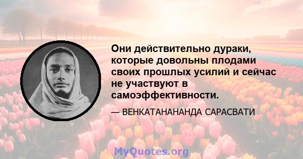 Они действительно дураки, которые довольны плодами своих прошлых усилий и сейчас не участвуют в самоэффективности.