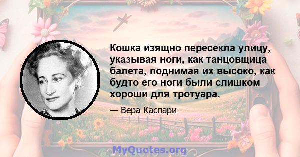 Кошка изящно пересекла улицу, указывая ноги, как танцовщица балета, поднимая их высоко, как будто его ноги были слишком хороши для тротуара.