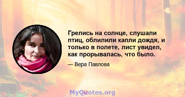 Грелись на солнце, слушали птиц, облилили капли дождя, и только в полете, лист увидел, как прорывалась, что было.