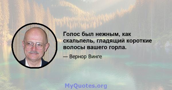 Голос был нежным, как скальпель, гладящий короткие волосы вашего горла.