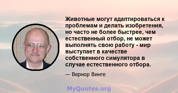 Животные могут адаптироваться к проблемам и делать изобретения, но часто не более быстрее, чем естественный отбор, не может выполнять свою работу - мир выступает в качестве собственного симулятора в случае естественного 