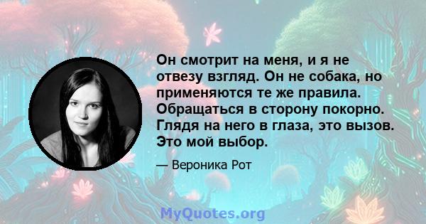 Он смотрит на меня, и я не отвезу взгляд. Он не собака, но применяются те же правила. Обращаться в сторону покорно. Глядя на него в глаза, это вызов. Это мой выбор.