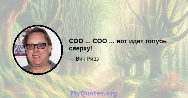 COO ... COO ... вот идет голубь сверху!