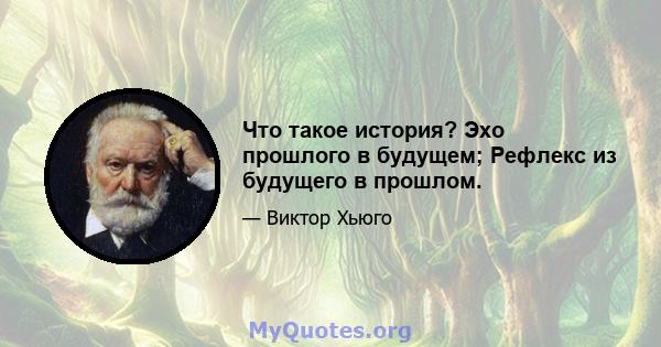 Что такое история? Эхо прошлого в будущем; Рефлекс из будущего в прошлом.