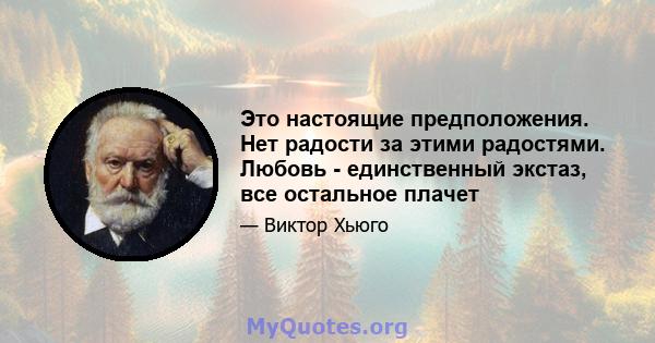 Это настоящие предположения. Нет радости за этими радостями. Любовь - единственный экстаз, все остальное плачет