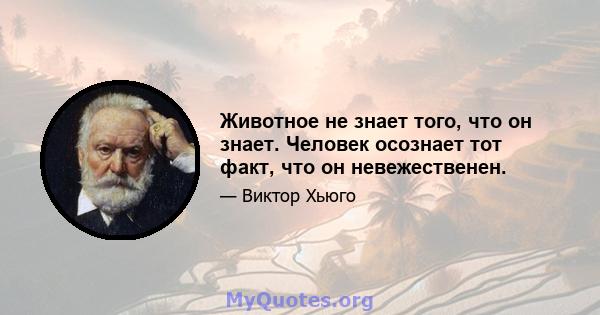 Животное не знает того, что он знает. Человек осознает тот факт, что он невежественен.