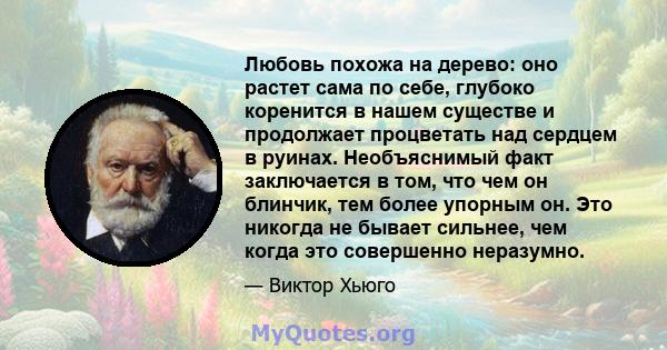 Любовь похожа на дерево: оно растет сама по себе, глубоко коренится в нашем существе и продолжает процветать над сердцем в руинах. Необъяснимый факт заключается в том, что чем он блинчик, тем более упорным он. Это