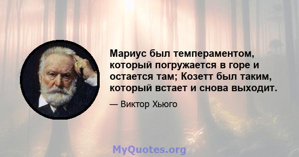 Мариус был темпераментом, который погружается в горе и остается там; Козетт был таким, который встает и снова выходит.