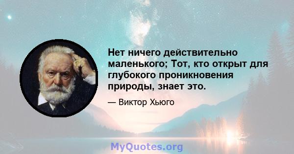 Нет ничего действительно маленького; Тот, кто открыт для глубокого проникновения природы, знает это.