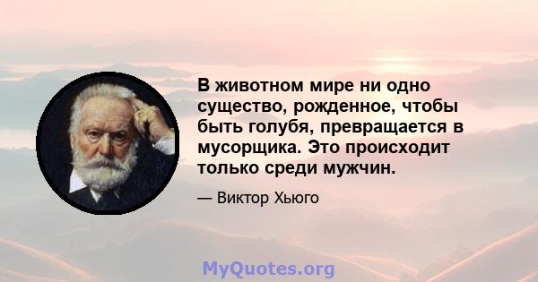 В животном мире ни одно существо, рожденное, чтобы быть голубя, превращается в мусорщика. Это происходит только среди мужчин.