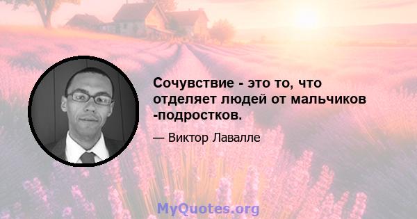 Сочувствие - это то, что отделяет людей от мальчиков -подростков.