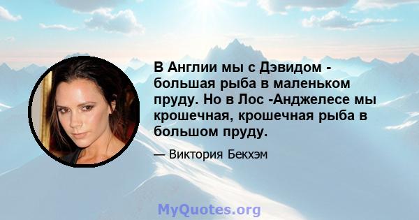 В Англии мы с Дэвидом - большая рыба в маленьком пруду. Но в Лос -Анджелесе мы крошечная, крошечная рыба в большом пруду.