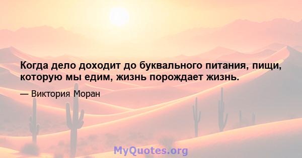 Когда дело доходит до буквального питания, пищи, которую мы едим, жизнь порождает жизнь.