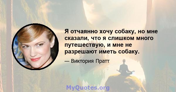 Я отчаянно хочу собаку, но мне сказали, что я слишком много путешествую, и мне не разрешают иметь собаку.