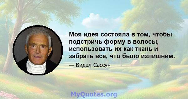 Моя идея состояла в том, чтобы подстричь форму в волосы, использовать их как ткань и забрать все, что было излишним.