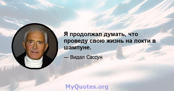 Я продолжал думать, что проведу свою жизнь на локти в шампуне.