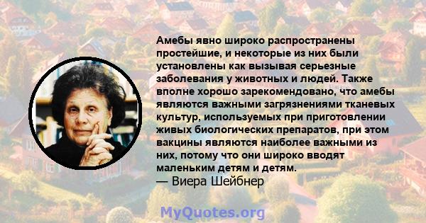 Амебы явно широко распространены простейшие, и некоторые из них были установлены как вызывая серьезные заболевания у животных и людей. Также вполне хорошо зарекомендовано, что амебы являются важными загрязнениями