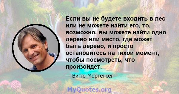 Если вы не будете входить в лес или не можете найти его, то, возможно, вы можете найти одно дерево или место, где может быть дерево, и просто остановитесь на тихой момент, чтобы посмотреть, что произойдет.