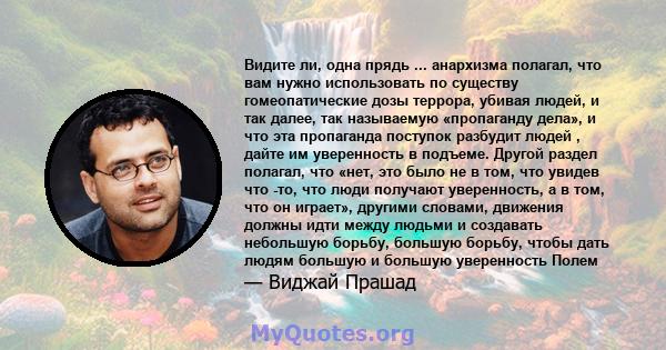 Видите ли, одна прядь ... анархизма полагал, что вам нужно использовать по существу гомеопатические дозы террора, убивая людей, и так далее, так называемую «пропаганду дела», и что эта пропаганда поступок разбудит людей 