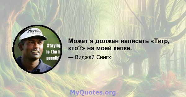 Может я должен написать «Тигр, кто?» на моей кепке.