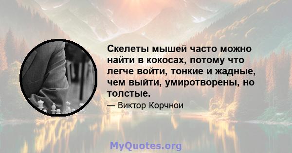 Скелеты мышей часто можно найти в кокосах, потому что легче войти, тонкие и жадные, чем выйти, умиротворены, но толстые.